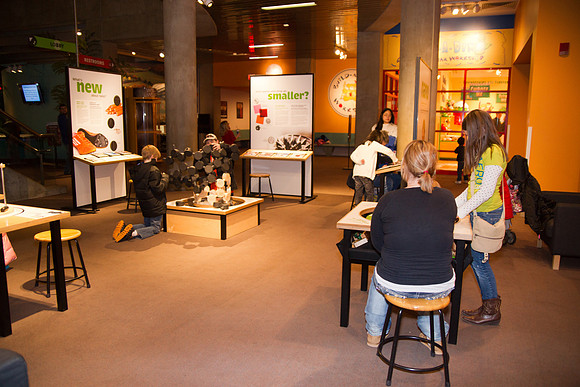 St. Louis Science Center - First Fridays - February 2013 - Robotics